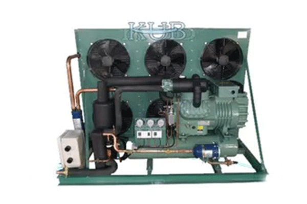 S6G-25.2Y 2 Stage Bitzer Air Cooled Condensing Units 25 HP Solid Valve Plate Design